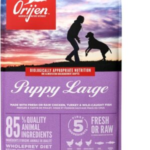 Orijen Scruffs Long Eared Dog Bowl 11.4Kg
