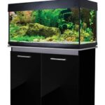 Aqua One AquaVogue 170 Aquarium Set 170L 100wx42dx50cm Black ONLY AQUARIUM - CABINET SOLD SEPARATELY
