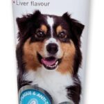 Beaphar Toothpaste for Dogs & Cats 100g