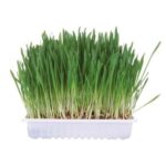 Trixie Small Animal Grass Treat for Small Pets 100G