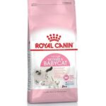 Royal Canin Mother & Babycat Dry Cat Food